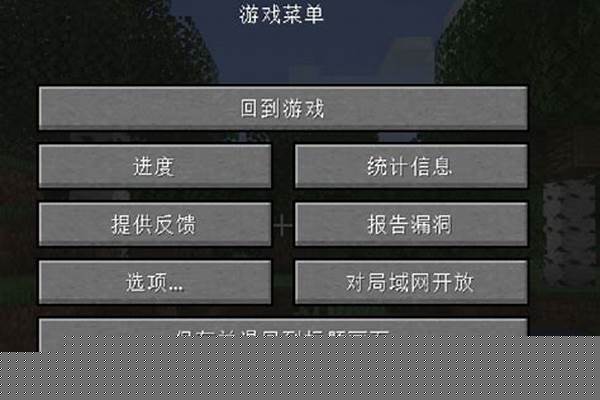 我的世界正版服务器有哪些 IP